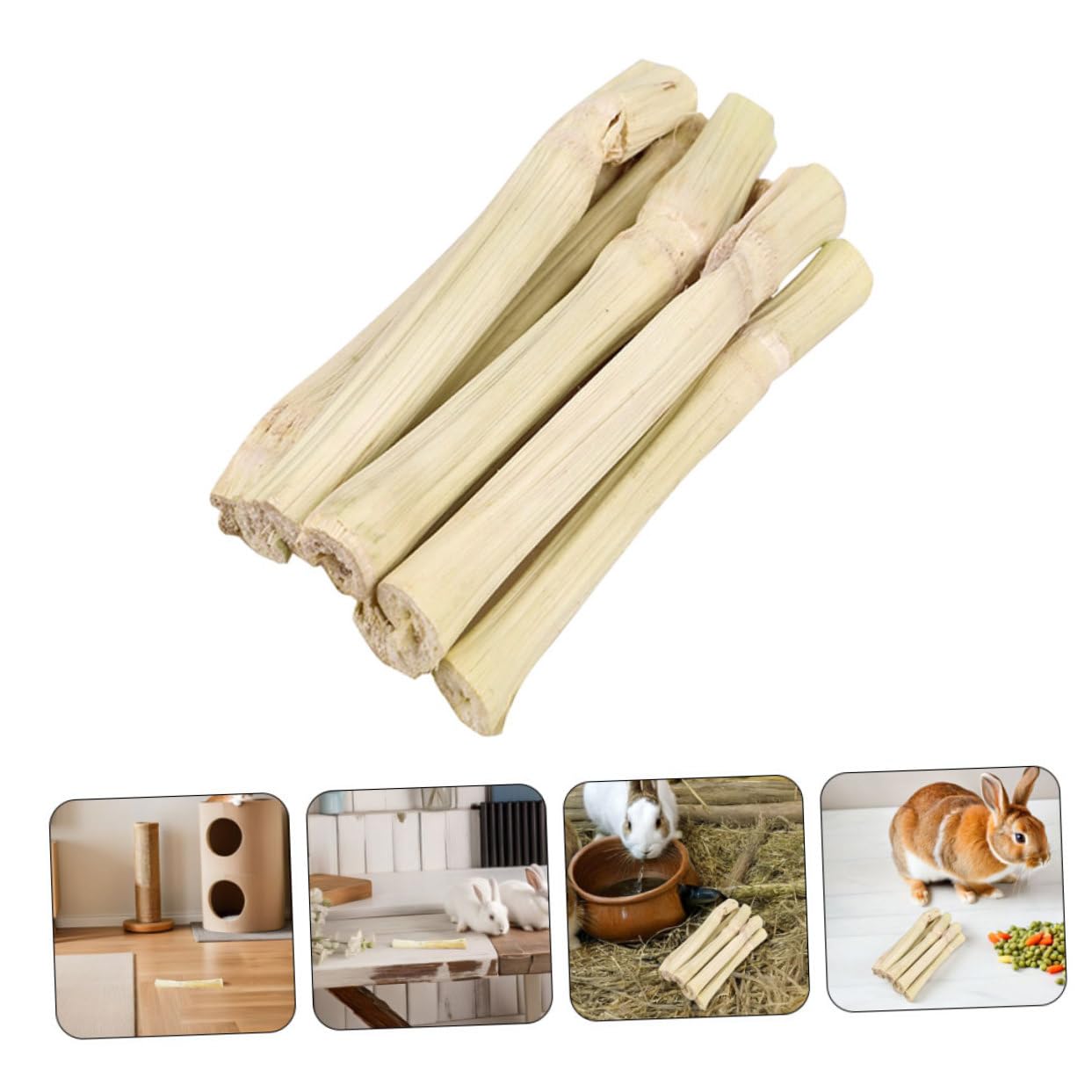iplusmile Bâtonnets à Mâcher pour et Petits Animaux Molaire Ergonomique pour Rongeurs Hamsters Cobayes et Chinchillas Stimule et Améliore Comportement