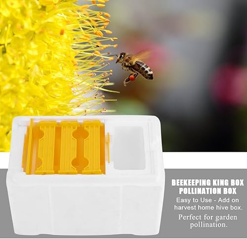 Miniatura 4 de TOPINCN BeeMating - Caja de polinización, BeeMating Nuc Harvest Bee Beekeeping Queen Cría de abejas Colmena Durable Queen RearingBeekeeping King Box