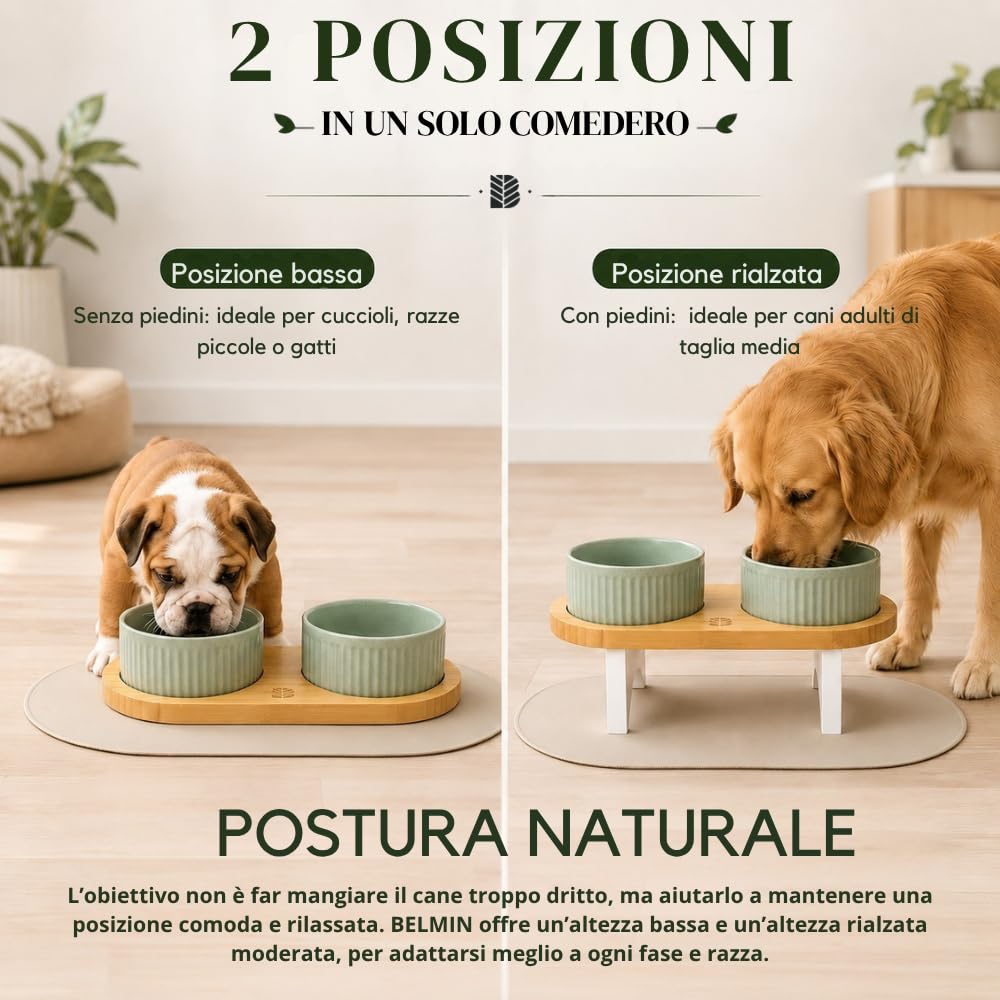 BELMIN Ciotole per Cani Rialzate – Porta Ciotole per Cani Rialzato con Ciotola Cane in Ceramica – 2 Altezze Regolabili – Base in Bambù Naturale – Tappetino Antiscivolo – Ideale anche Ciotola per Gatti