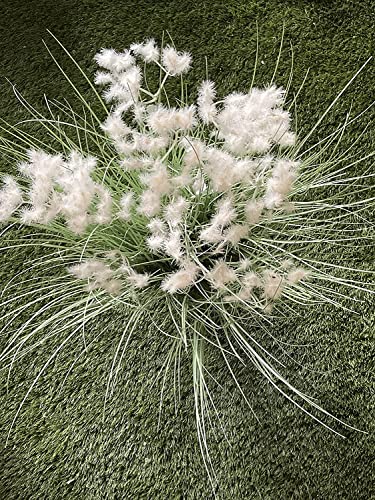 Image of FOX & FERN Artificial Grass Plant for Home /Office Decor | Faux Plant to Elevate Any Indoor /Outdoor Space(Clouds Grass White-30)