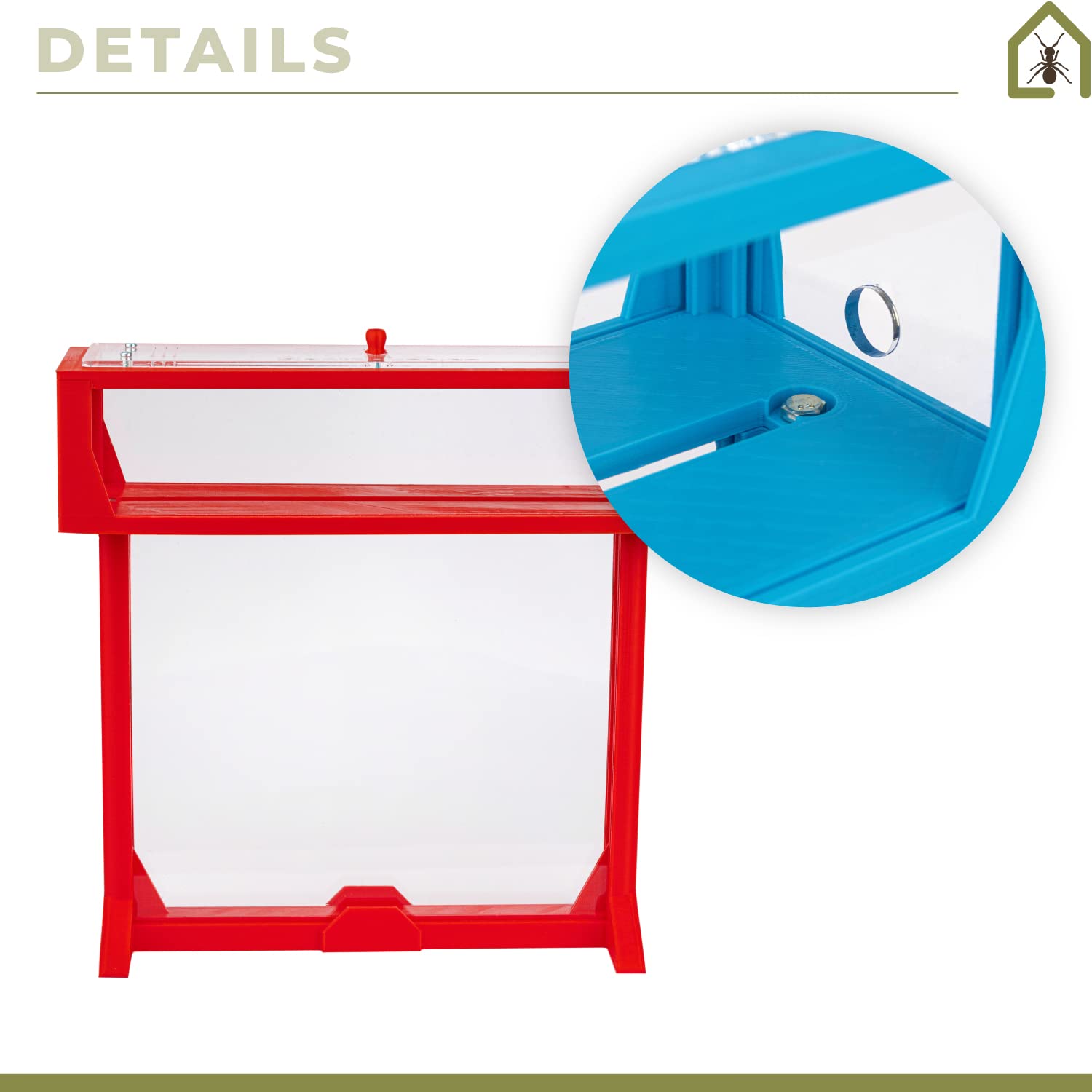 AntHouse - Fattoria di formiche di sabbia naturale | T 3D Set GRANDE 25x20x1,5 cm Rosso | Comprese le formiche - 4