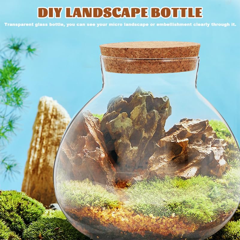 Operitacx Botella De Vidrio Transparente 5.90 Pulgadas Tarro De Cristal Para Terrario Boca Ancha Con Tapa De Corcho Para Decoración De Jardín Y Oficina Microlandscape