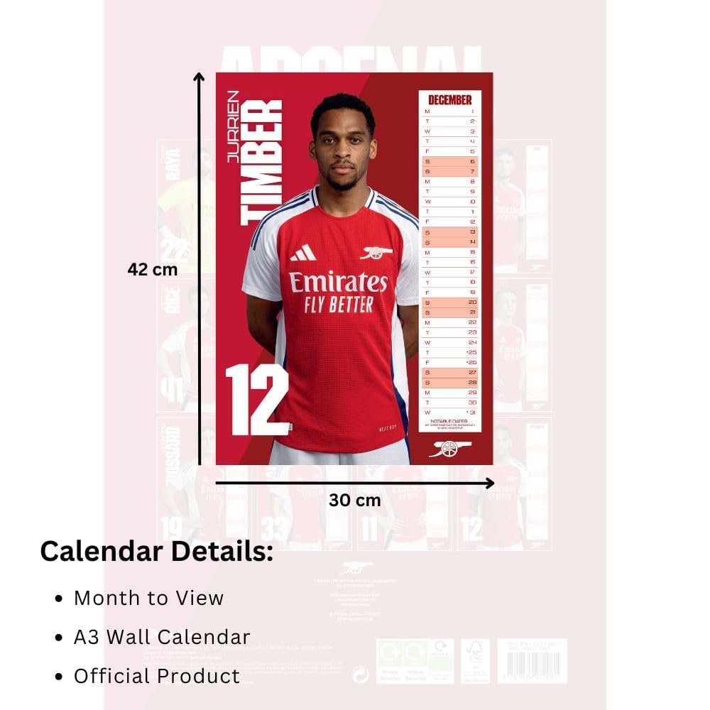 アーセナル　arsenal オフィシャル2006年カレンダー アーセナル arsenal オフィシャル2006年カレンダー アーセナル