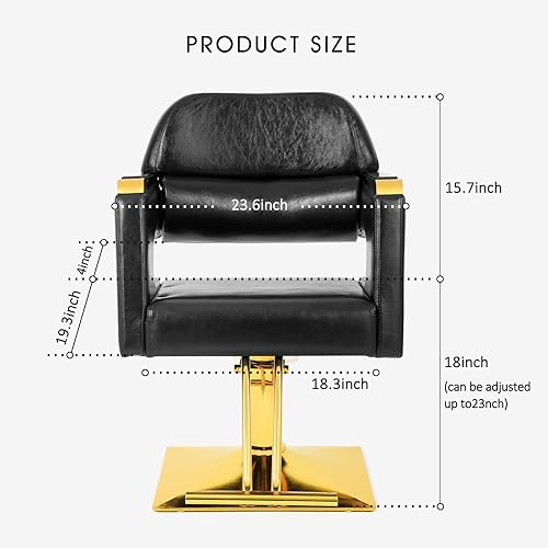 Miniatura 9 de Artist hand Silla de salón para estilista, silla de peinado dorada, bomba hidráulica resistente, giro de 360, diseño moderno, sillas de pelo para
