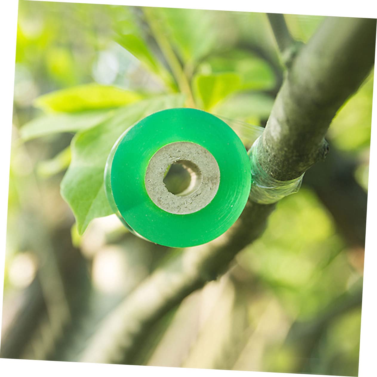 STOBOK PVC Selbstklebend Veredelungsband Grün für 3cm 4 Rollen Pflanzen