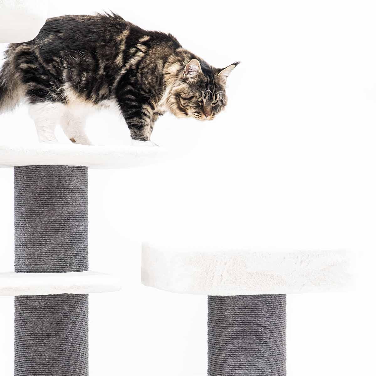 Petrebels Drapak XXL Bengal 199 cm wysokości, wzór Maine Coon drapak dla dużych kotów, kolor biały