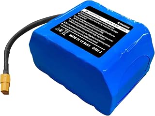 25.2V (fit 29.4V) 4Ah Lithium-ion Hoverboard Battery with BMS, fit for Jetson Rave, Hover-1 Superstar & Chrome Hoverboard, Scooter, 7S2P Rechargeable Battery Replacement for 100-500W Motor(XT60)