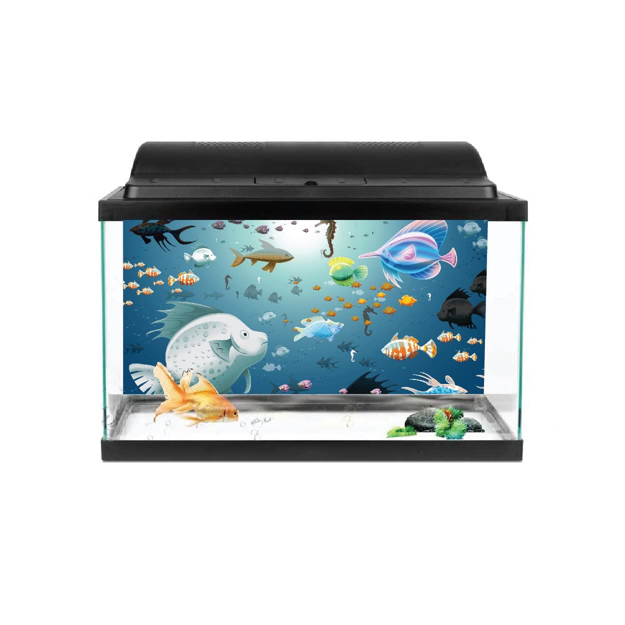 VVWV® Aquarium Background Stickers for Fish Tank Waterproof Vinyl Printed Multicolored Sticker (Fish Land) (61 x 30 CMS) (B0BX5ZJKDZ) Amazon Price History, Amazon Price Tracker
