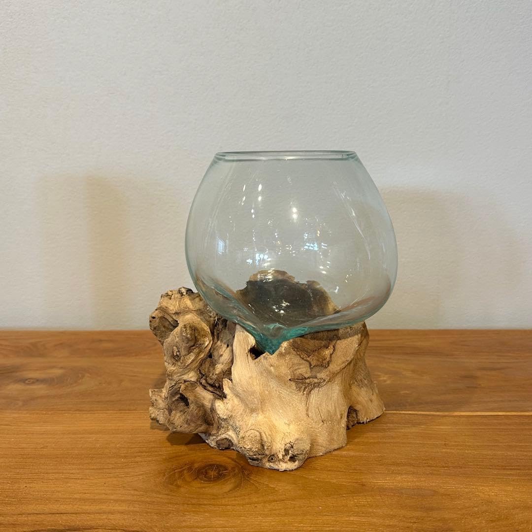 バリ島流木ガラス w17&times;d16&times;h20cm 水槽 アクアリウムメダカ水槽803