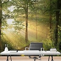 Wall Mural Green Forest Nature Landscape Removable Self-Adhesive Wallpaper Wall Decoration for Bedroom Living Room - 66x96 inches