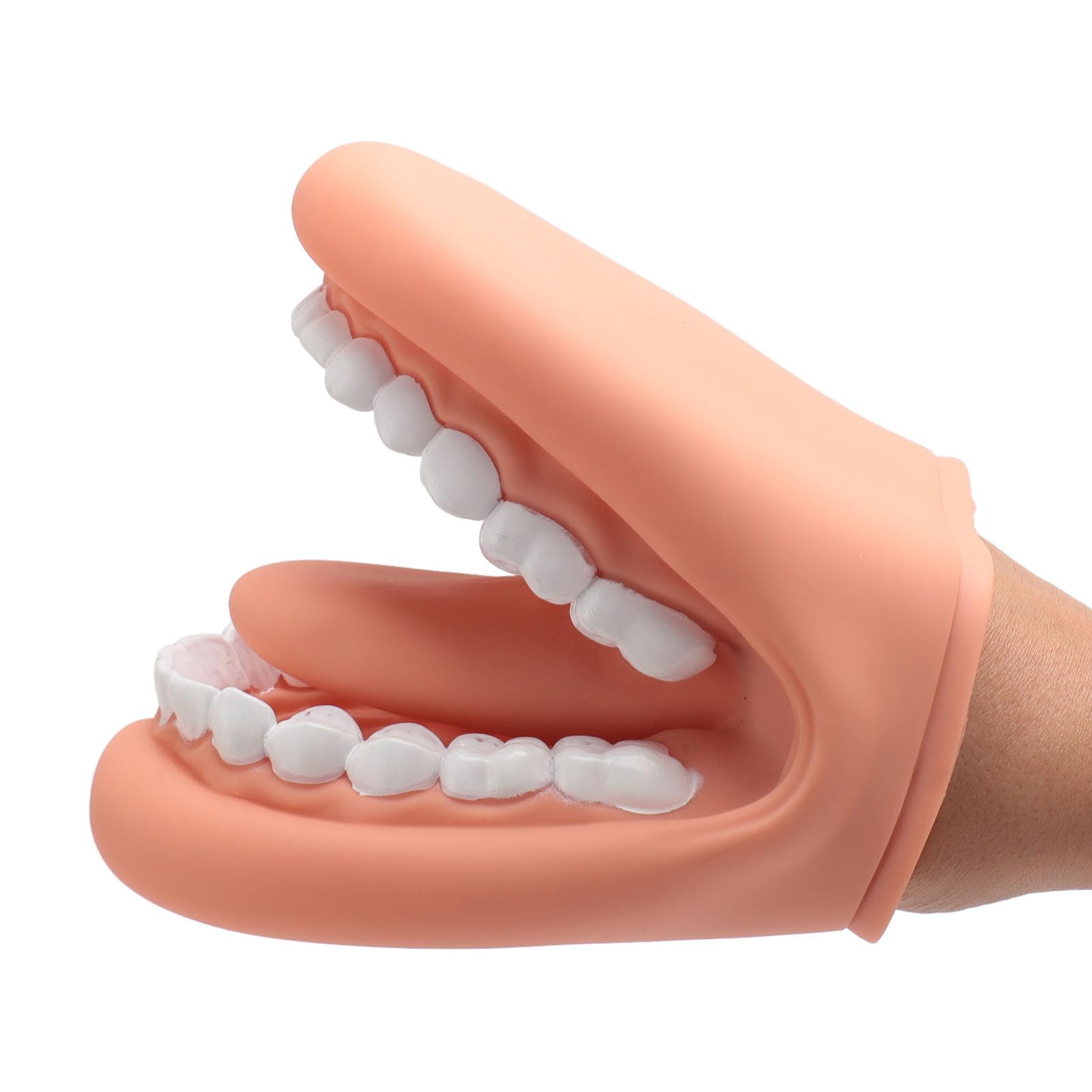 Modèle de Soins Dentaires-modèle de Bouche, Marionnette Buccale de Démonstration D'orthophonie en Silicone à 28 Dents avec Langue pour Enfants, Facile à Nettoyer, Matériau de
