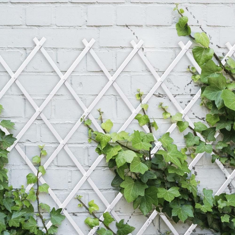 TERRE JARDIN - Treillis Jardin, 100 x 200 cm - Treillis Plastique Blanc, Extensible, Décoration Florale Murale