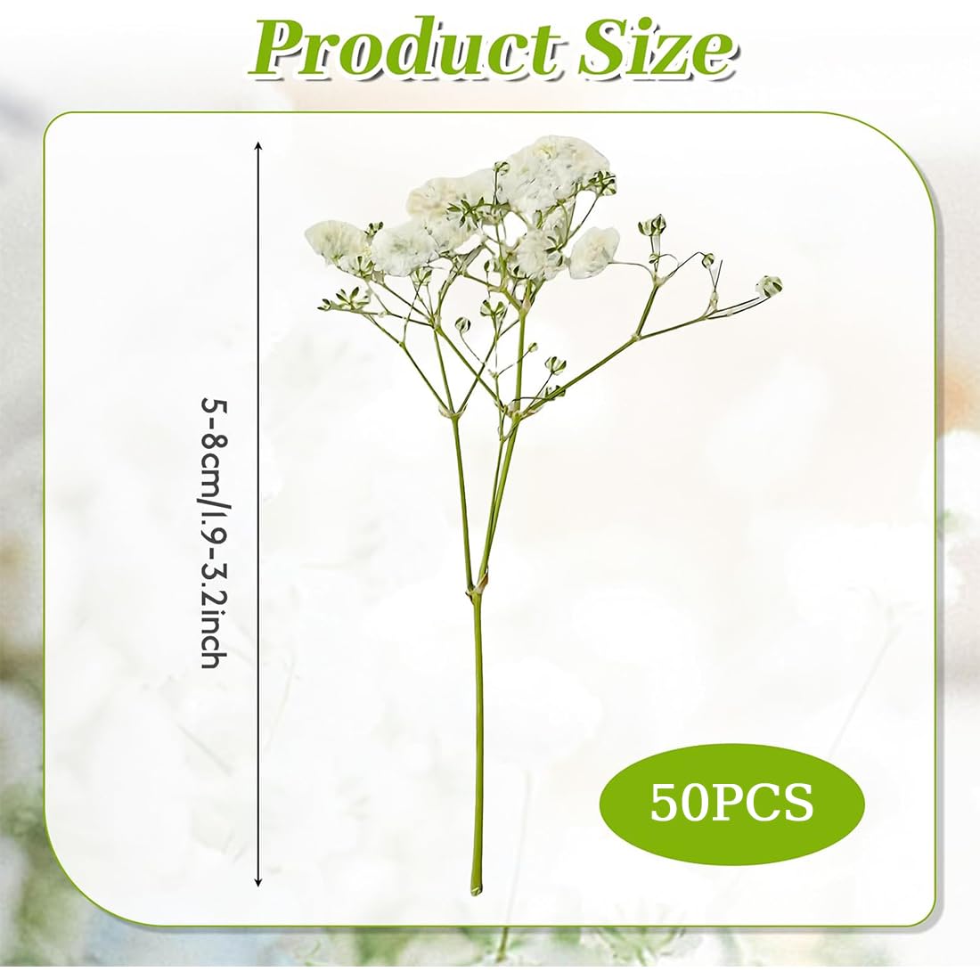 SURALIN Confezione da 50 Gypsophila Bianca Essiccata, Fiori Secchi Decorativi Naturali Fiori Secchi Decorativi Piccoli Creazione di Biglietti di Nozze