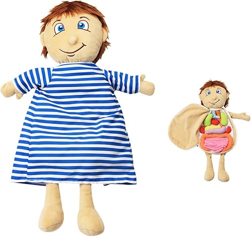 KAKIBLIN Juguetes de anatomía del cuerpo humano, órganos educativos preescolares del cuerpo humano, juguetes de anatomía para niños, órganos