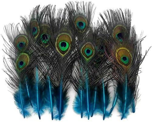 50 piezas - Mini cuerpo de cola de pavo real natural azul turquesa con ojos al por mayor plumas (a granel) Proveedor de manualidades de disfraces de
