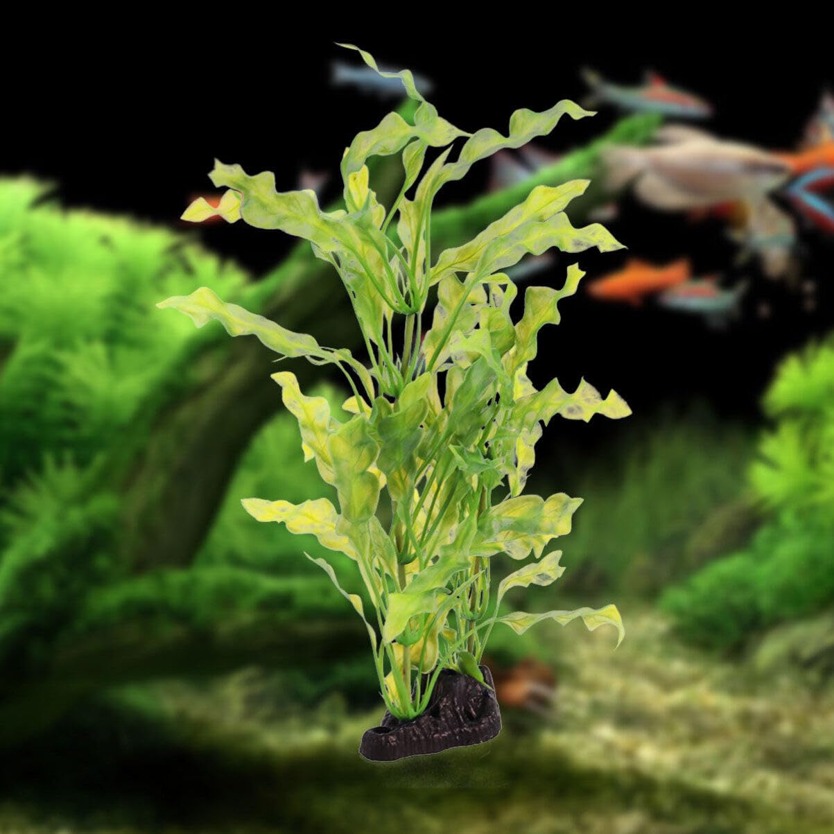 POPETPOP Aquariumpflanzen – Aquarium-Pflanze, Aquarium-Dekoration, künstliche Kelp, Wasserpflanzen, Kunststoffpflanzen für Aquarium-Dekorationen