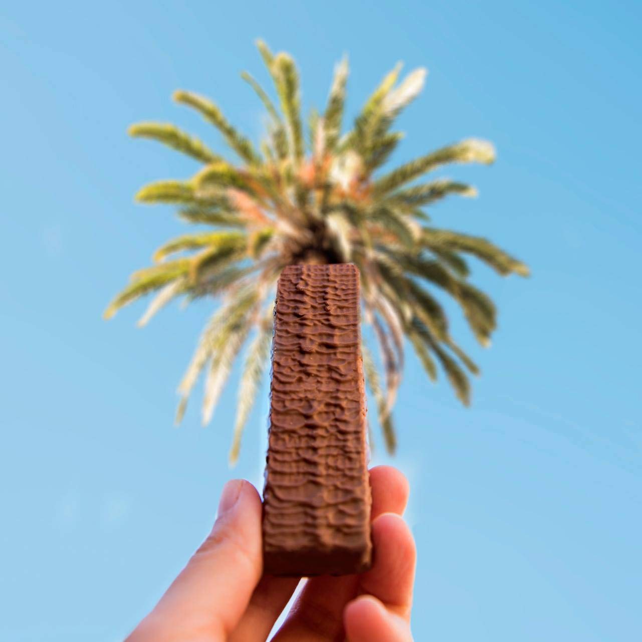 Tirma Ambrosía Chocolate con Leche y Avellanas | 4 Barritas Crujientes 86 g | Envasado Individual | Snack Vegetariano y Práctico para Llevar en Mochila o Merienda | Hecho en Canarias