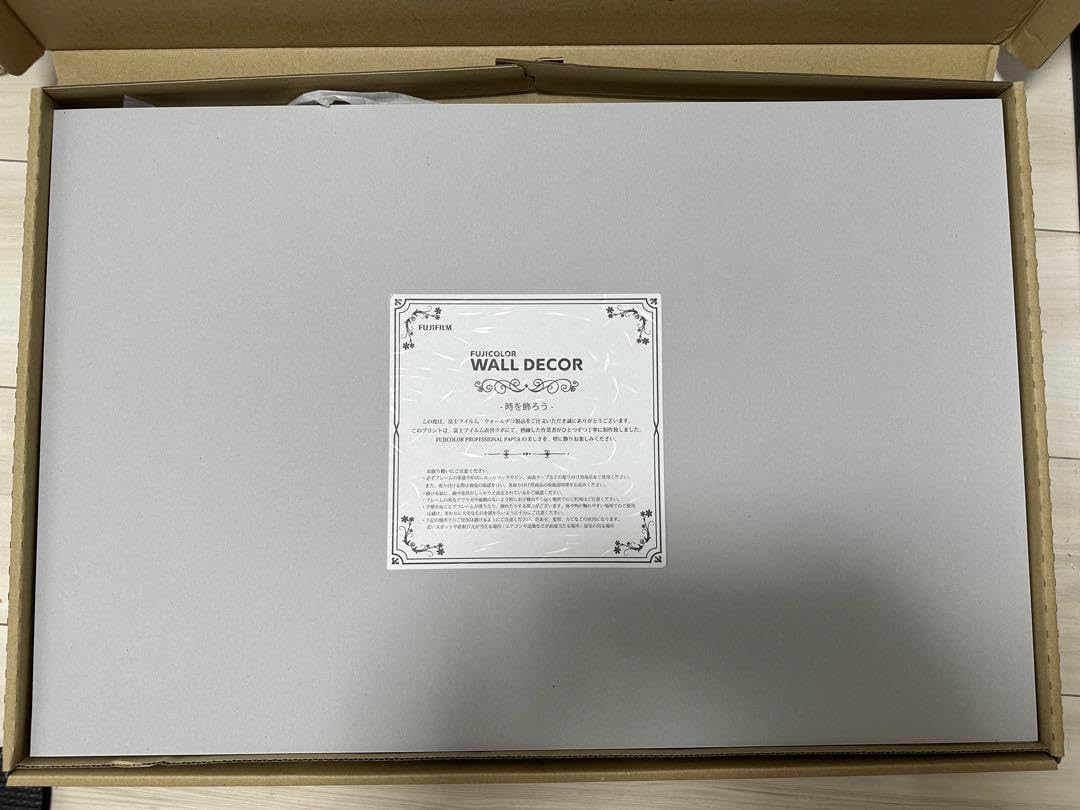 Amazon.co.jp: 片山萌美 -MOEMI WALL DECOR A2サイズ : おもちゃ