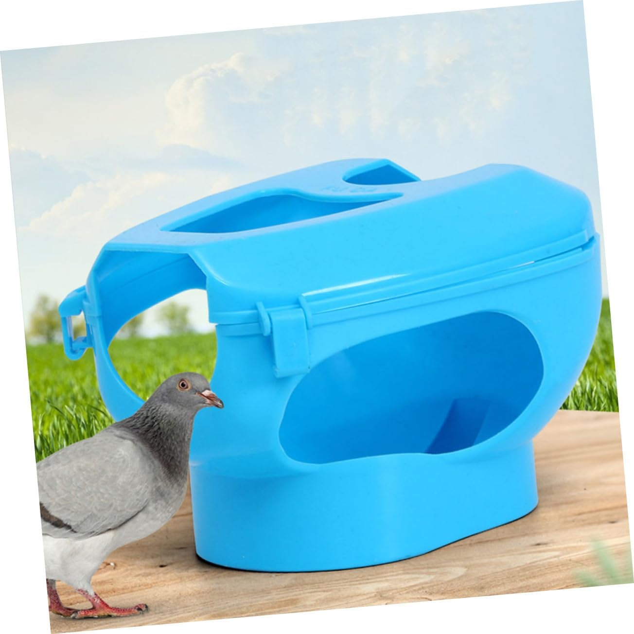 Kisangel 6pcs Pigeon Fixed Tool Bird Supplies Pigeon Holder for Feeding Medicine