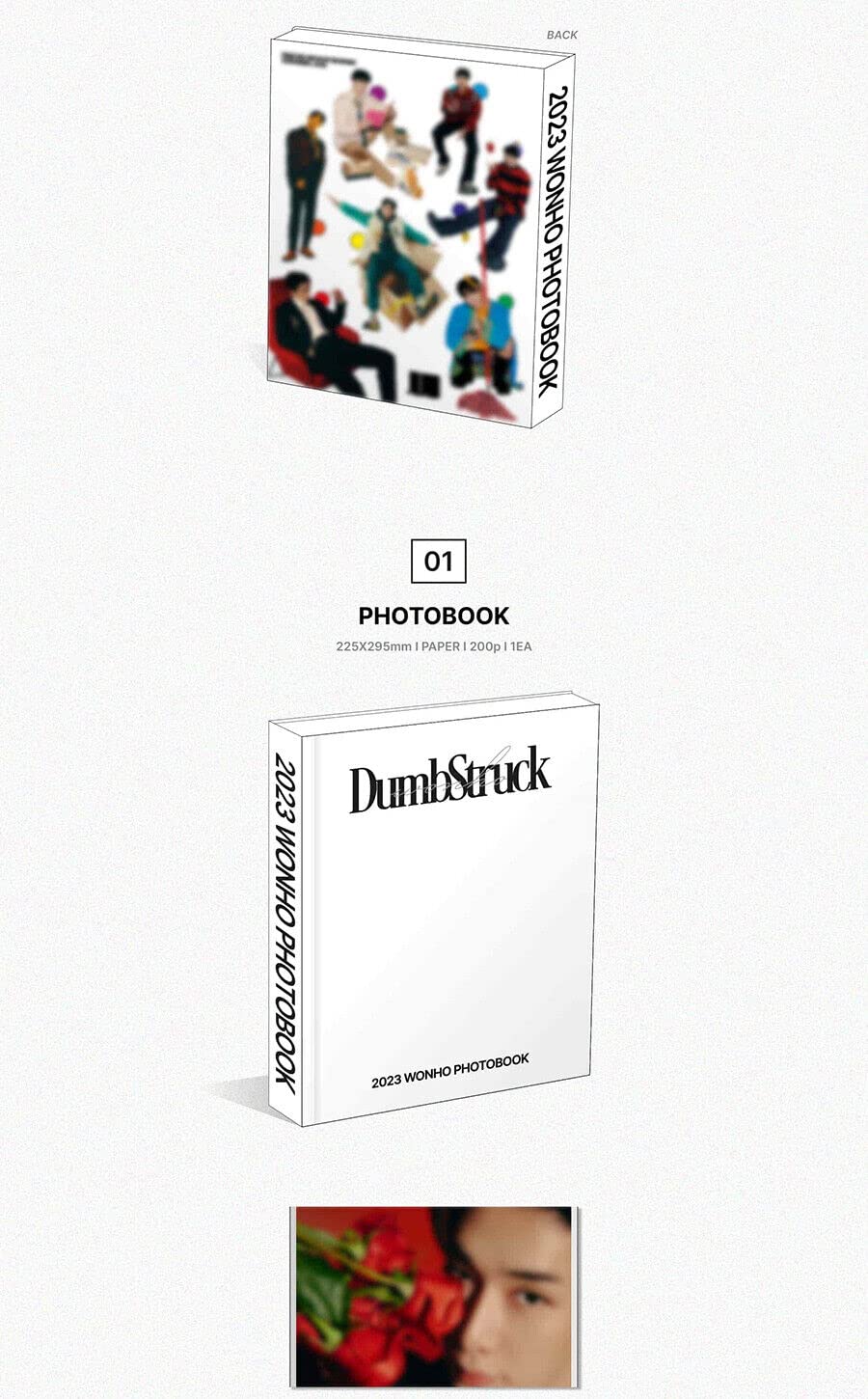 Amazon.com: 2023 WONHO PHOTO BOOK DUMBSTRUCK (RED + NAVY - 2 Ver