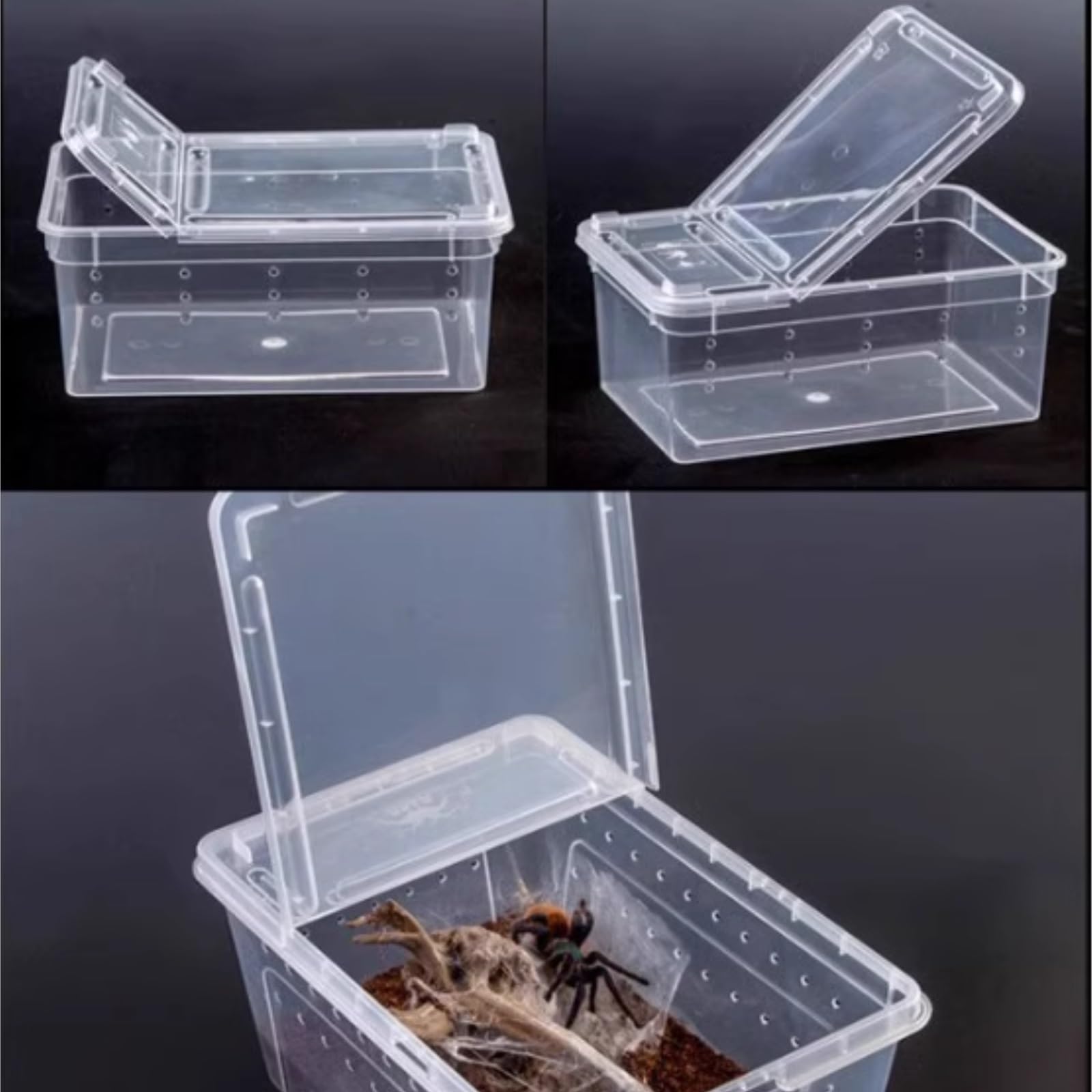 Pudełko Do Karmienia Skrzynka Hodowlana Dla Gadów, Klatka Siedliskowa, Skrzynka Dla Żółwi, Terrarium Dla Żab Terrarium Dla Gadów(25.8cm)