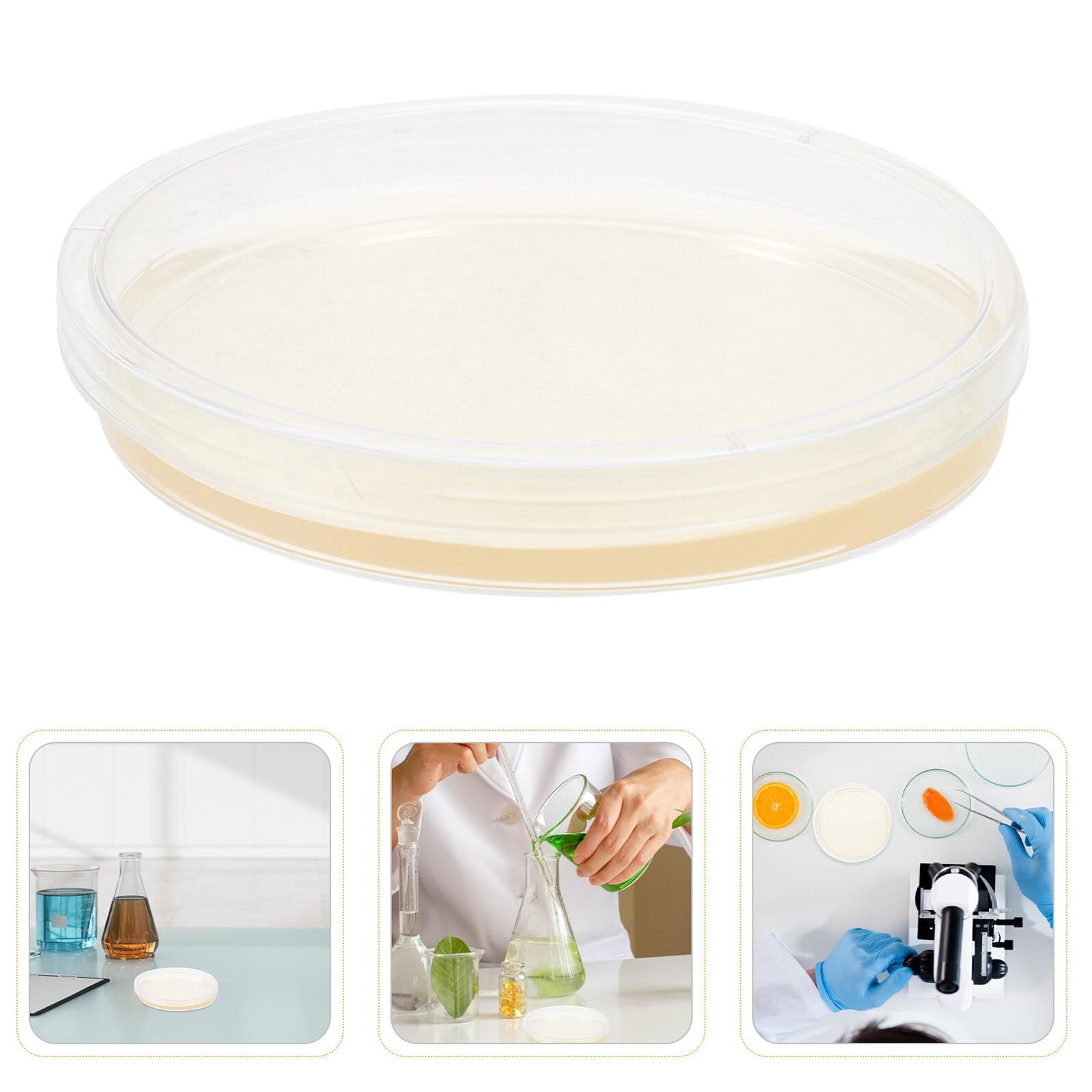 20 Placas de Petri Preparadas Agar Nutritivo Redondas de 9cm para Experimentos Científicos en Laboratorio Nutrición Consistente y Material Ps