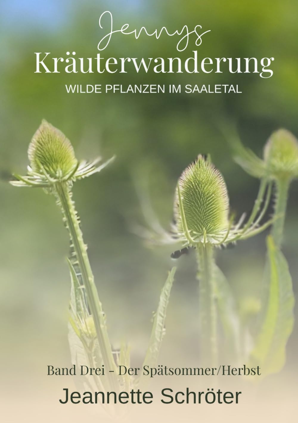 Jennys Kräuterwanderung: Wilde Kräuter im Saaletal Teil 3 Der Spätsommer/Herbst