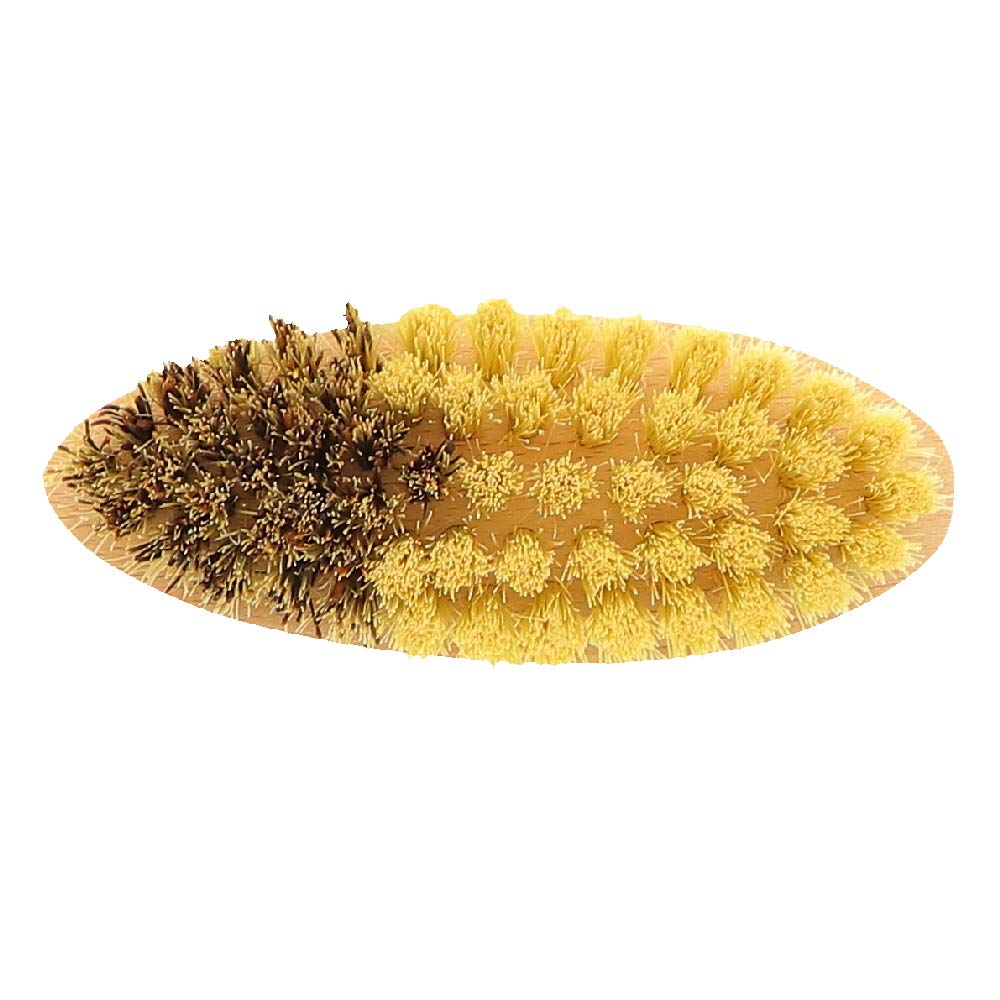 Hofmeister® Cepillo para Verduras 13,5 cm Madera - cerdas Naturales 2 Grados de dureza: Unión Genuina y Fibra, para Patatas, Zanahorias y Verduras, Made in EU