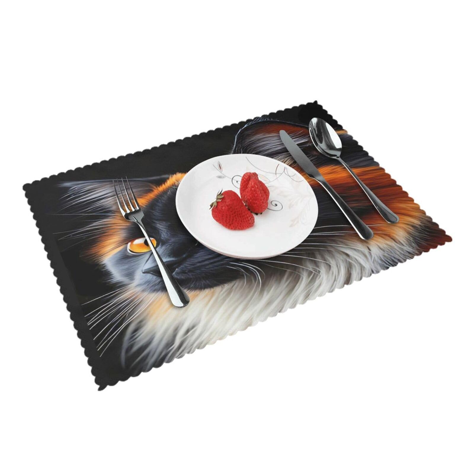 Maine Coon Cat Placemats Set of 4 Print Table Mats Place Mats Table Decor for Kitchen Dining 12X18 in