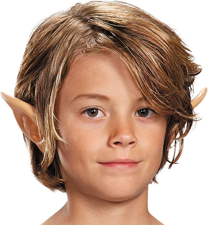 Link Breath Of The Wild Deluxe Costume, Blue, Medium (7-8) : Clothing, Shoes & Jewelry