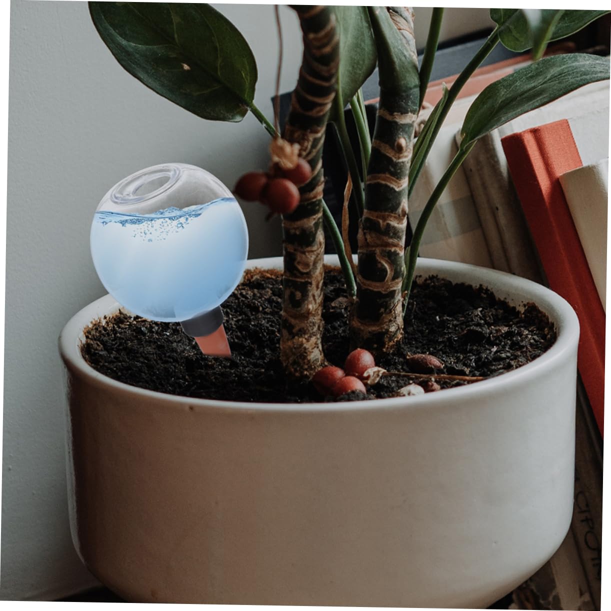 Abaodam 3 Ensembles Dispositif D'arrosage Automatique Dispositifs D'arrosage pour Plantes en Pot Plante D'arrosage Arrosage À Globe D'arrosage Arrosage du Jardin 2 Pièces * 3