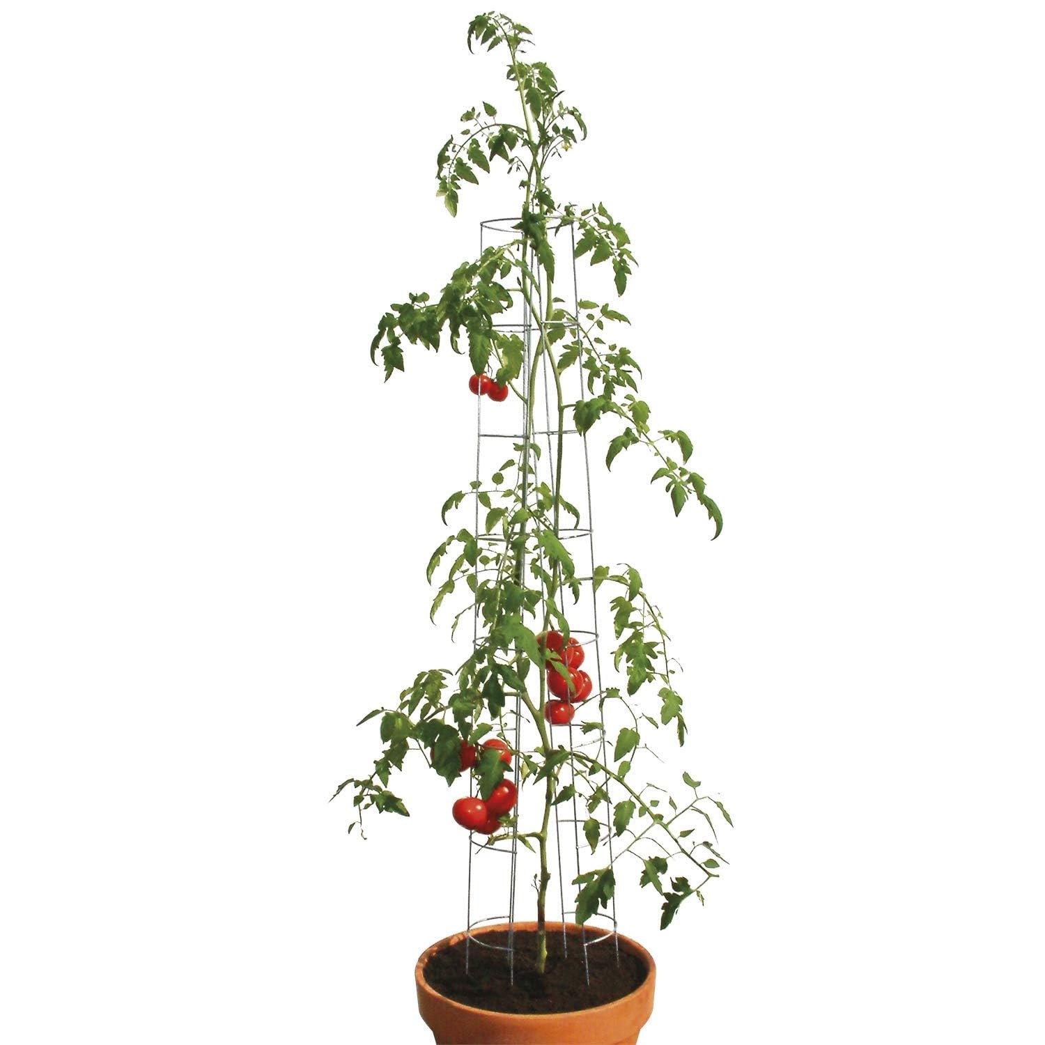 bellissa Tomaten Rankhilfe Tomatenturm 6er-Set Stahl verzinkt 120 cm