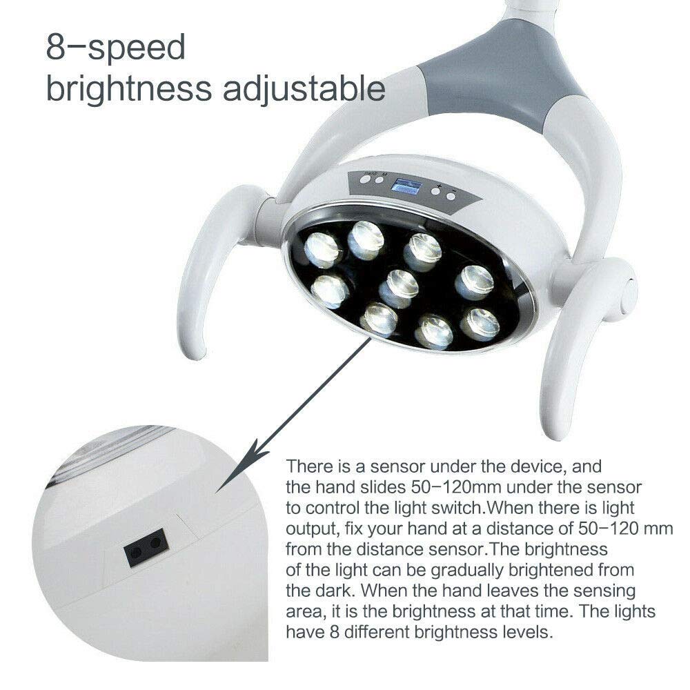 Panda Life Lámpara Dental Oral Light Sin Sombras 9 LED para sillón Dental 22mm