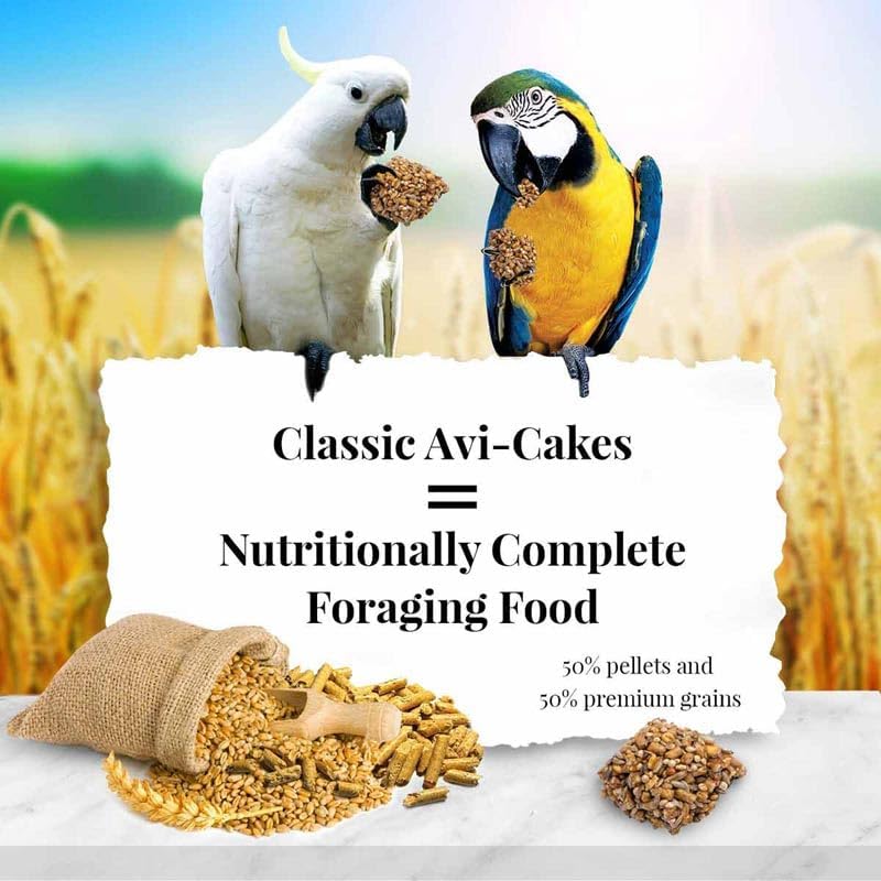 Miniatura 2 de LAFEBER'S Classic Avi-Cakes - Alimento para pájaros para mascotas, fabricado con ingredientes no transgénicos y de grado humano, para guacamayos y