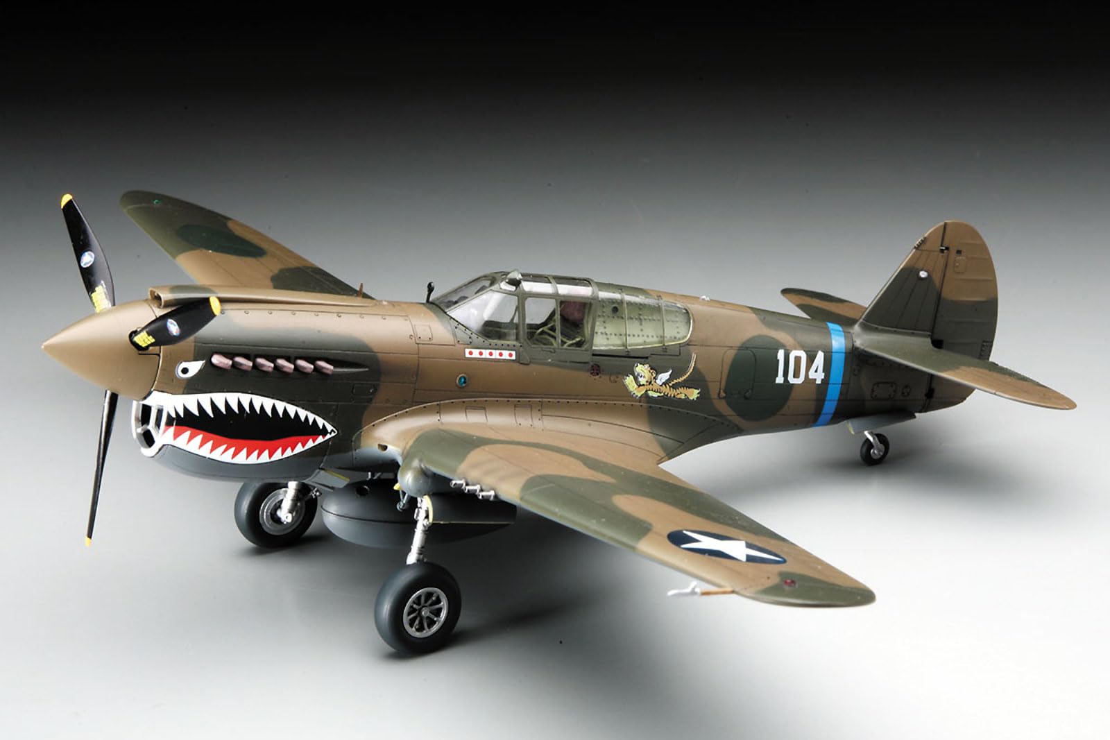 ハセガワ 1/48 P-40E ウォーホーク 日本軍鹵獲機 i8my1cf Amazon | ハセガワ 1/48 P-40E ウォーホーク 日本軍鹵獲機