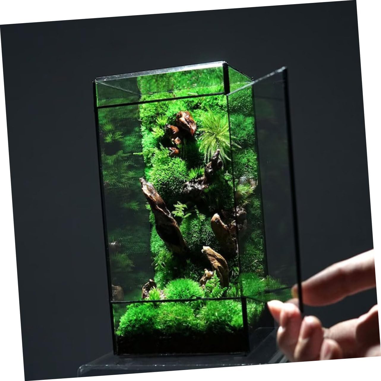 Glass Terrarium Landscape Design Mini Ecosystem Tank Small Moss Terrarium Plant Holder for Windowsill Planter