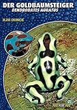 Der Goldbaumsteiger: Dendrobates Auratus (Art für Art)
