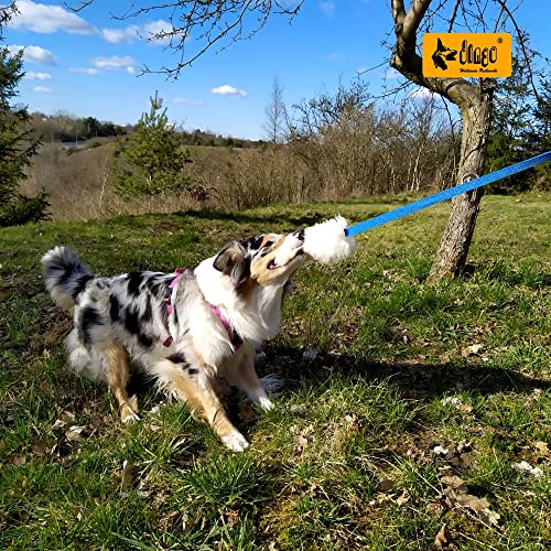 Dingo Hundespielzeug aus echtem Lammfell mit Griff Apporte Motivation Spiel Zerrspielzeuge Training Blau Griff 15583