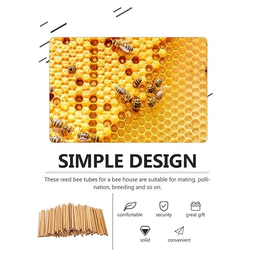 Miniatura 6 de Kichvoe 20 piezas de tubos de abeja de caña para casa de abejas, insertos de repuesto para apicultores solitarios suministros de colmena de abejas