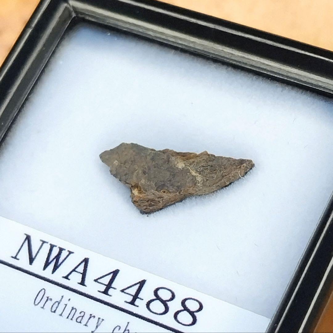 レア！NWA4488 隕石標本 レア！NWA4488 隕石標本 レア！NWA4488隕石