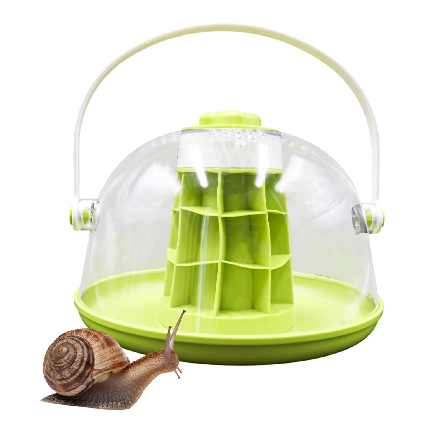 Pudełko Do Karmienia Zestaw Do Terrarium Dla Ślimaków Okrągłych, Plastikowa Podstawa, Wyjmowane Siedlisko Terrarium Dla Gadów