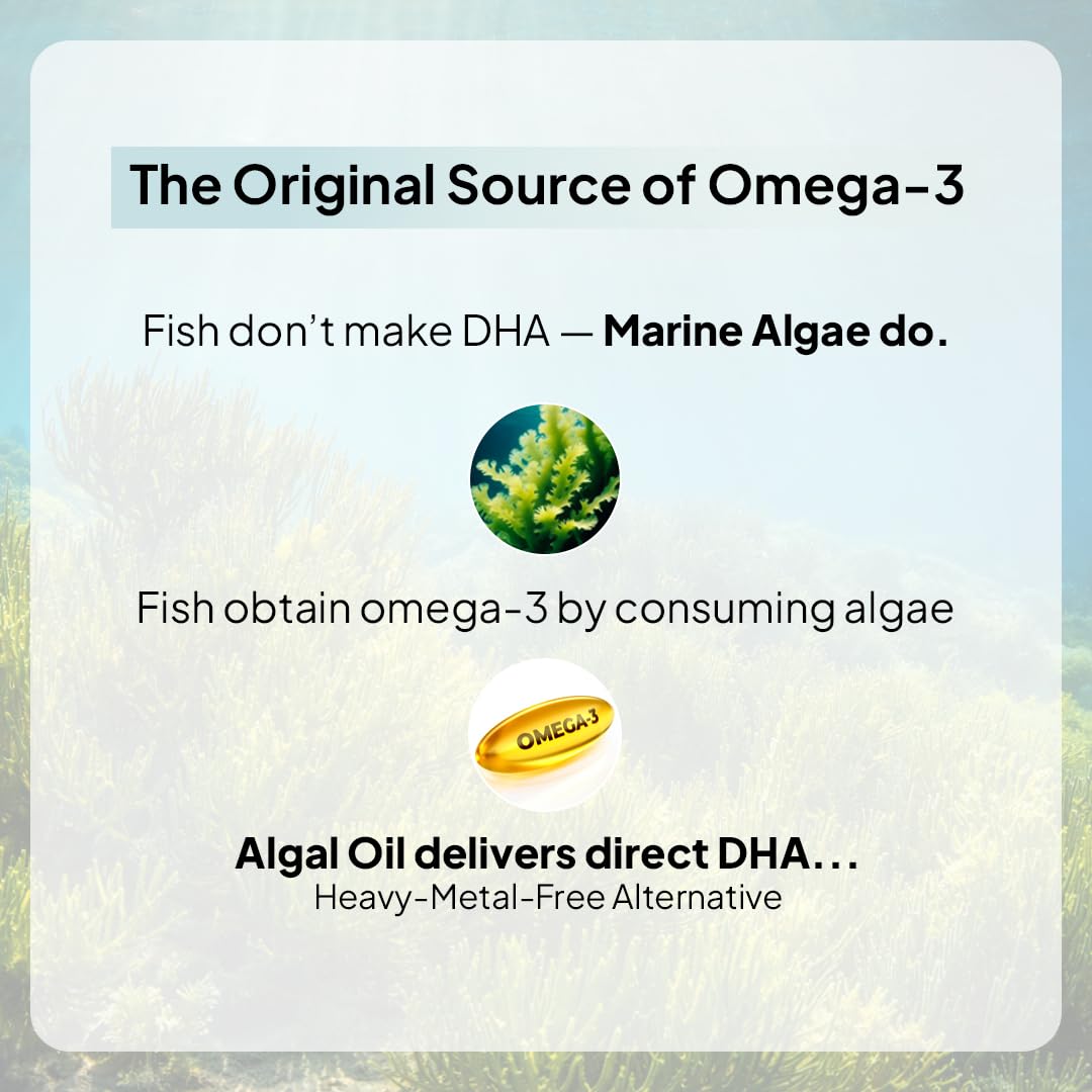 Miduty Veg Omega-3 500mg | 40% Algal DHA + EPA | High-Potency Plant-Based Omega-3 | No Fish Oil, No Fishy Burps | Veg Capsules for Men & Women - 30 Capsules 1