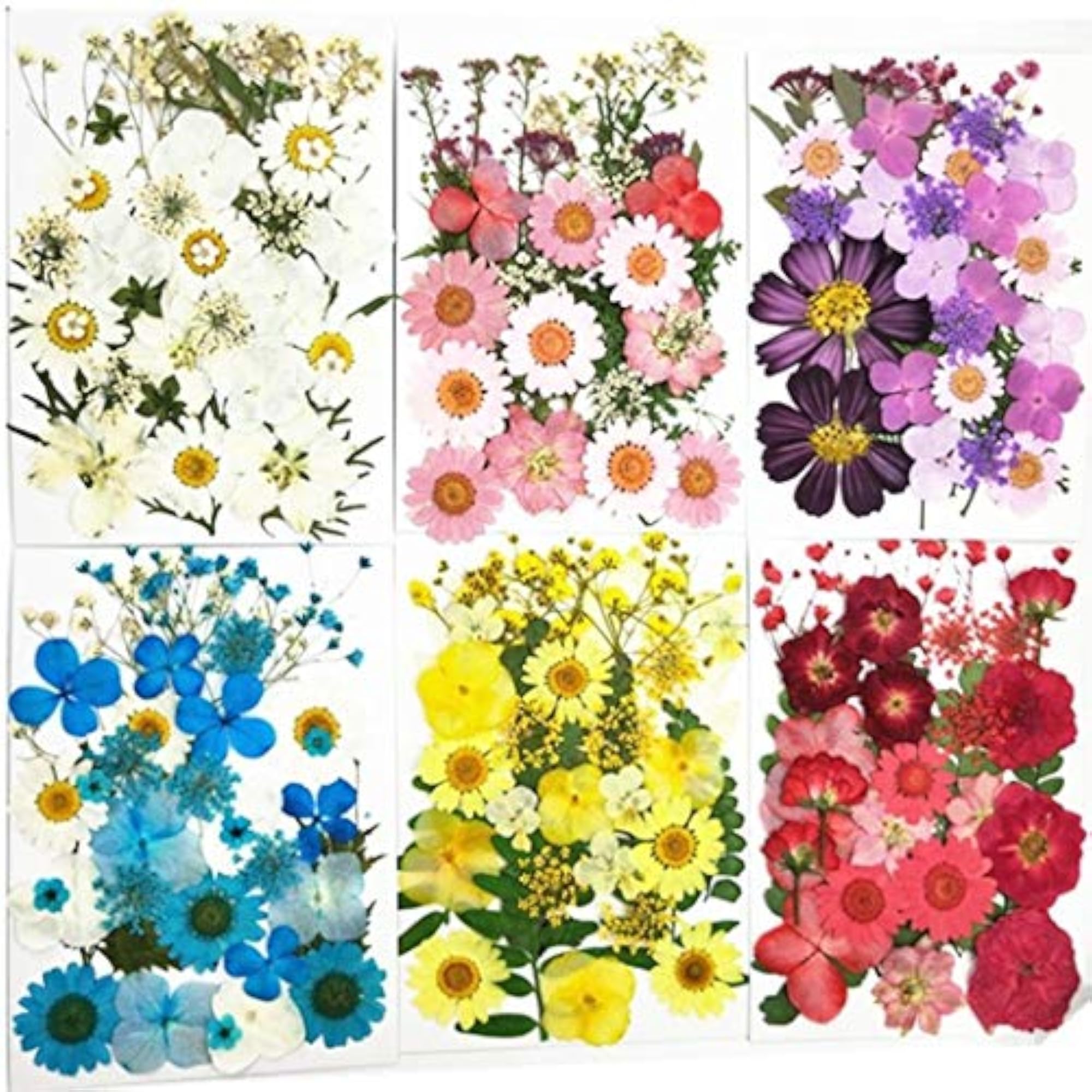 Dried Flower Handmade Pressed Flower Craft Kit