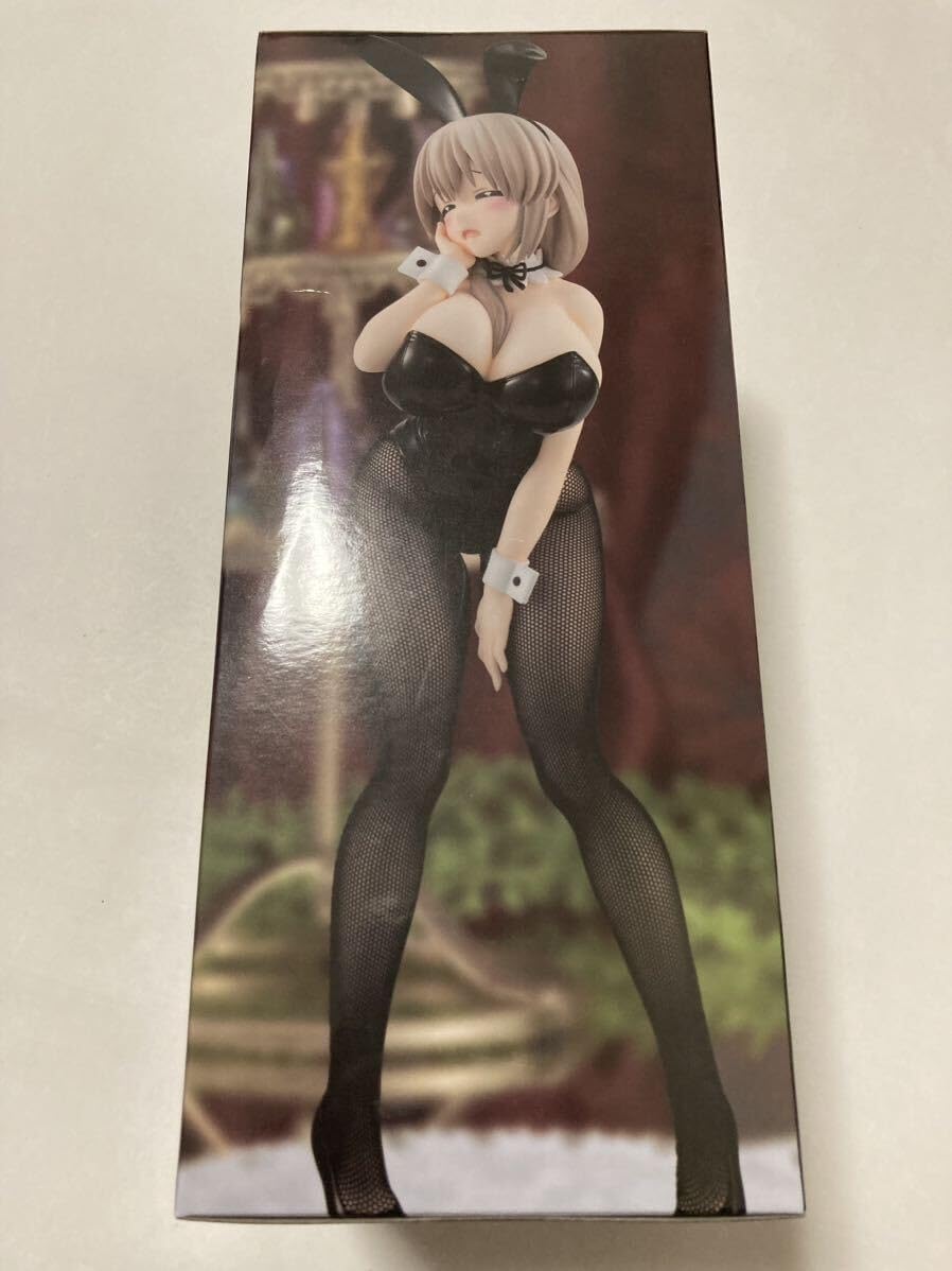 Amazon.co.jp: ☆ 宇崎ちゃんは遊びたい！ω BiCute Bunnies