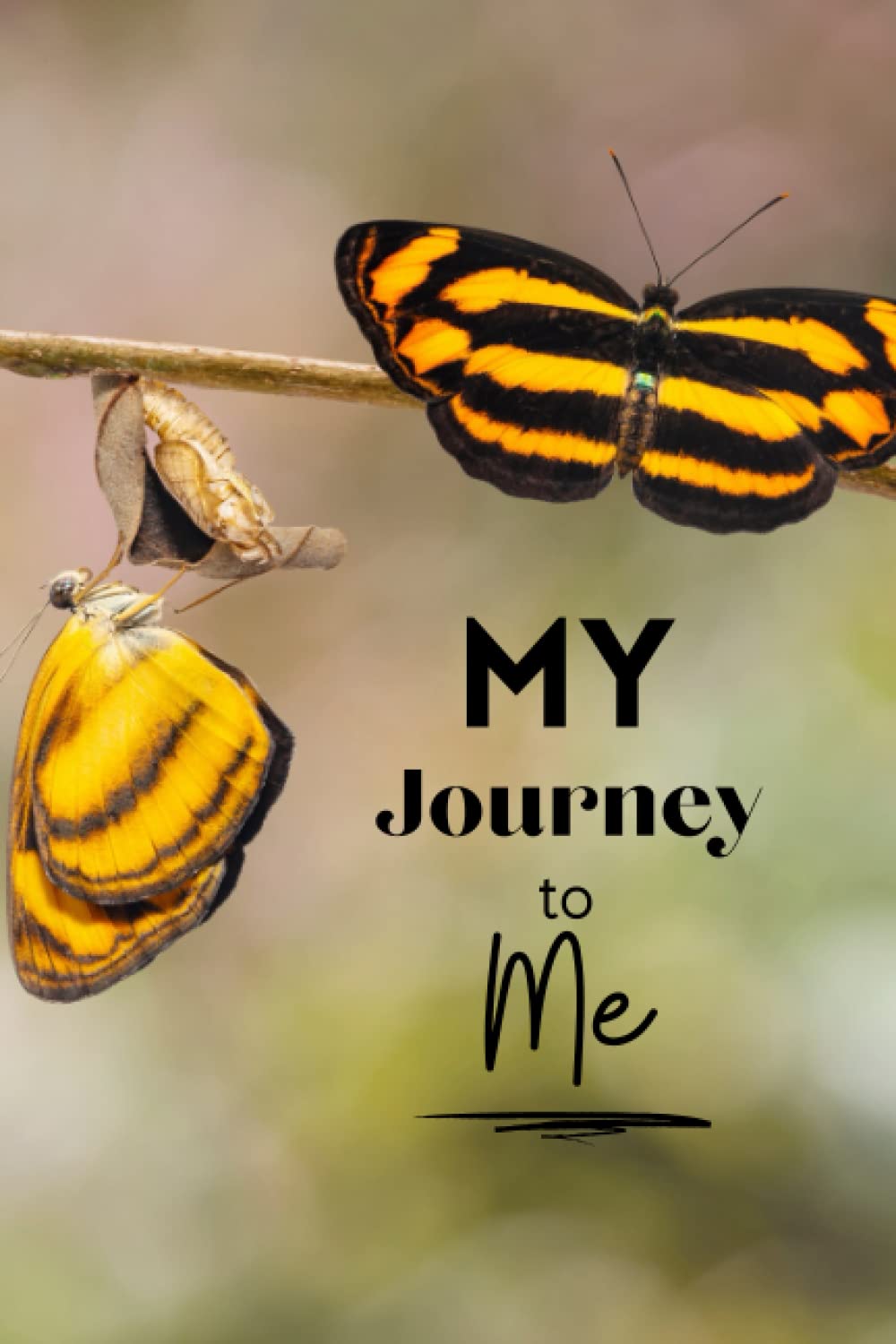 My Journey to Me