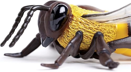 Miniatura 2 de Safari Ltd. Figura de abeja de miel, figura realista de modelo de 5.5 pulgadas, juguete educativo para niños, niñas y niños a partir de 3 años