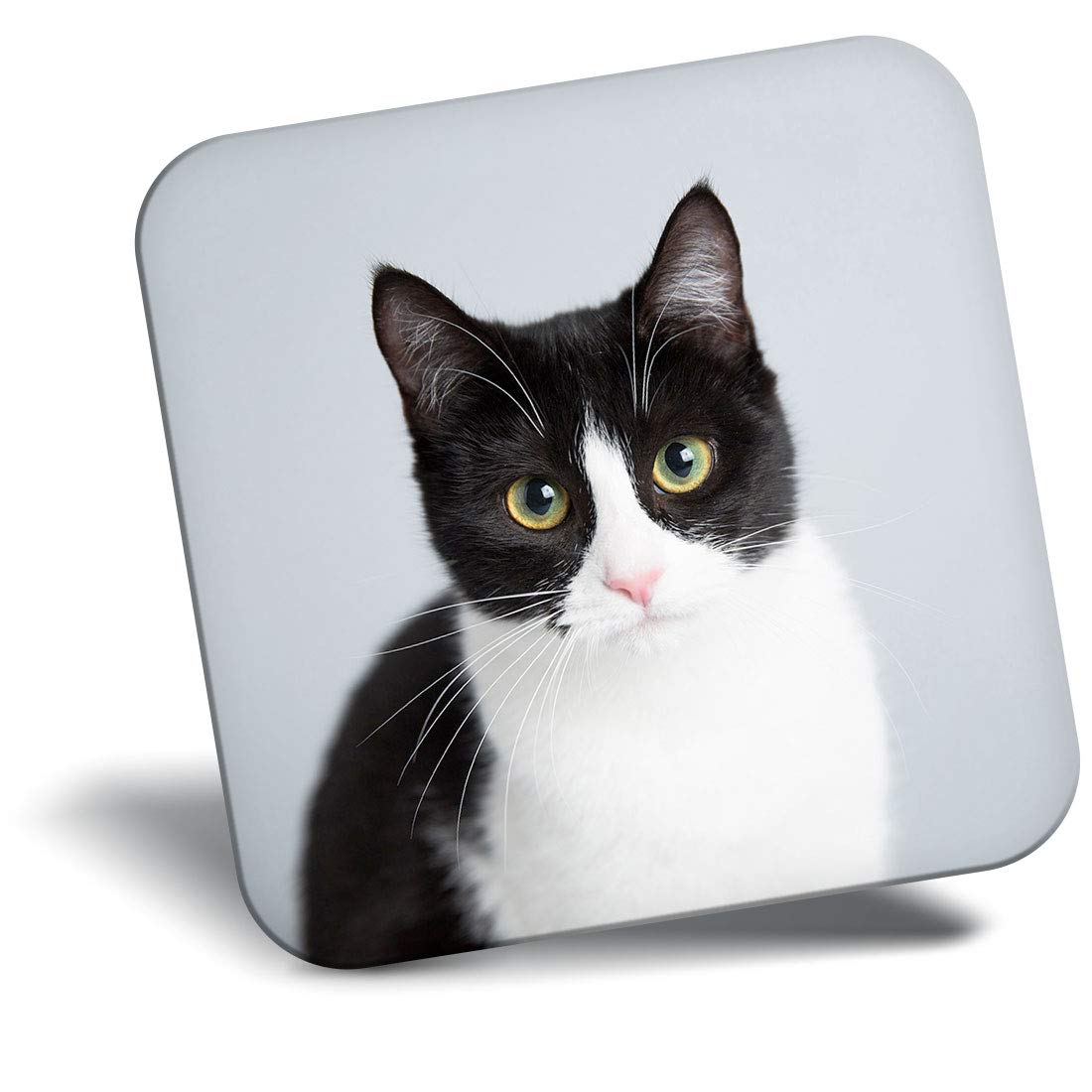 Destination Vinyl ltd Fridge Magnet - Black & White Cat Kitten Pet 15634