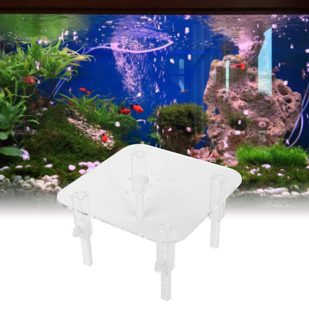 Proteína Skimmer Soporte Accesorios de elevación Ajustables Material acrílico para Acuario Tanques de Peces Tamaños de la Oficina del hogar S M L