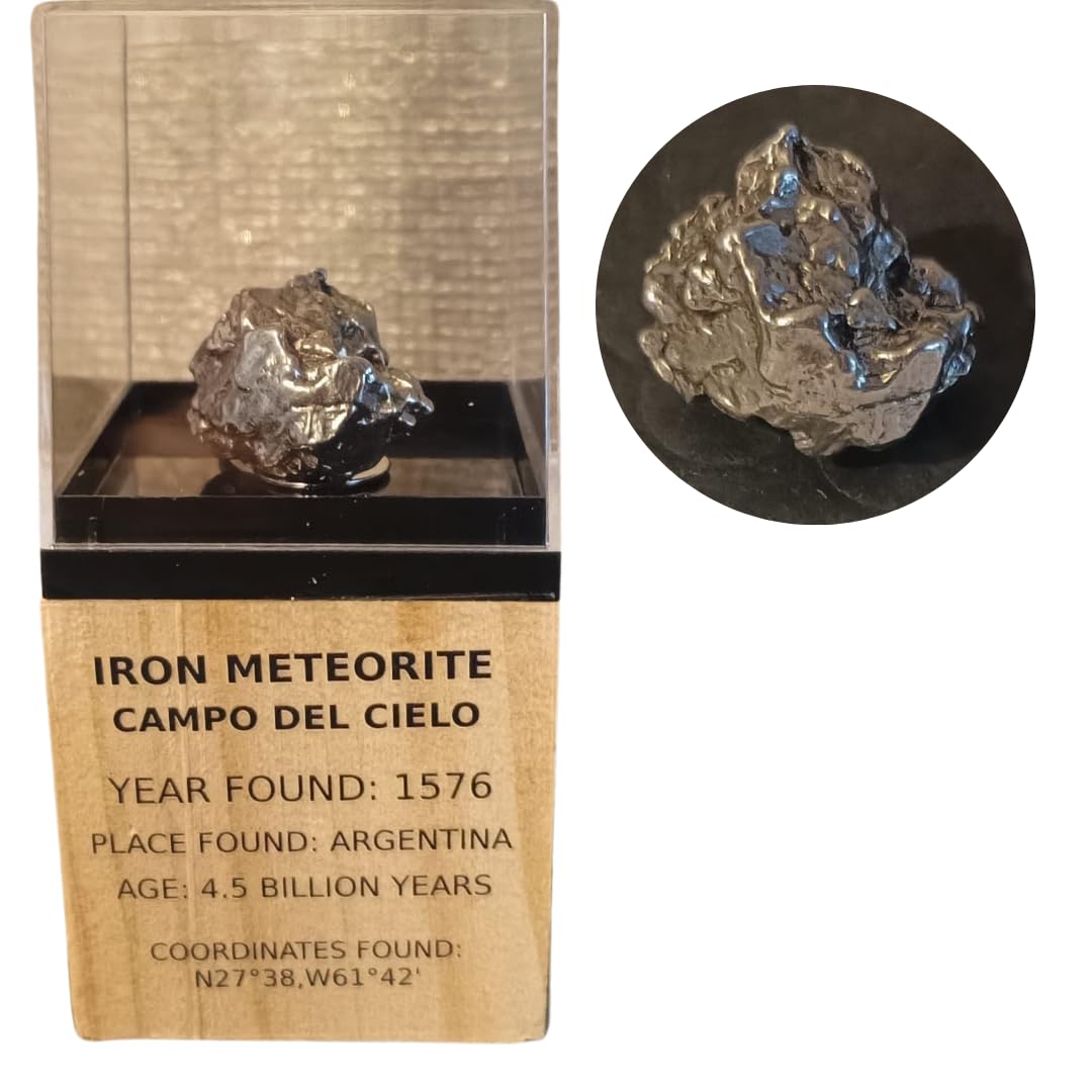 Meteorito Campo del Cielo – Meteorito de Hierro en Pantalla de Madera – Encontrado en 1576 – 4,5 mil millones de años – Regalo para coleccionistas & Aficionados al espacio