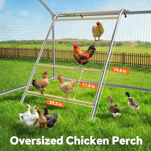 Image of 9.9x9.9 FT Large Metal Chicken Coop, Walk-in Poultry Run Enclosure